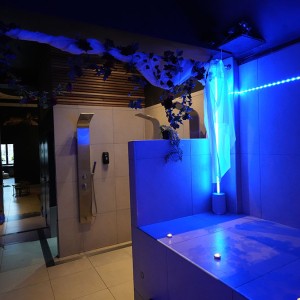 Spa privé Spa Louise à Bruxelles
