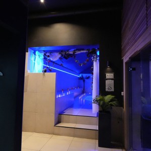 Spa privé Spa Louise à Bruxelles